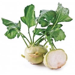 Price: €1.25 - Sementes De Couve-Rábano - Unbranded