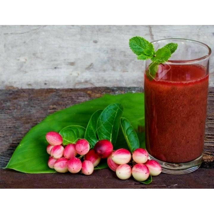 Karonda - Bengal Currant Seeds (Carissa carandas) - 2.655