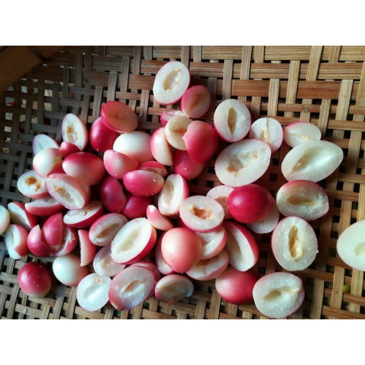 Karonda - Bengal Currant Seeds (Carissa carandas) - 2.655