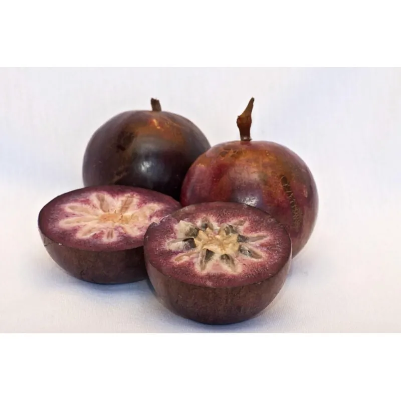 Star Apple Seeds (Chrysophyllum cainito)