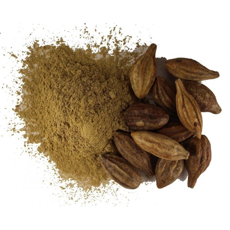 Price: €4.95 - Konungen av medicinalväxter fröer Terminalia chebula - 
