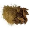 Sementes de Haritaki (Terminalia chebula)
