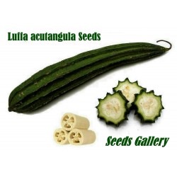 Price: €1.95 - Graines de Luffa acutangula, Éponge naturelle - 