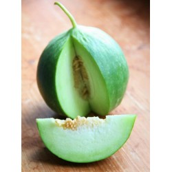 Sementes de Melon - Pepino Carosello Barattiere