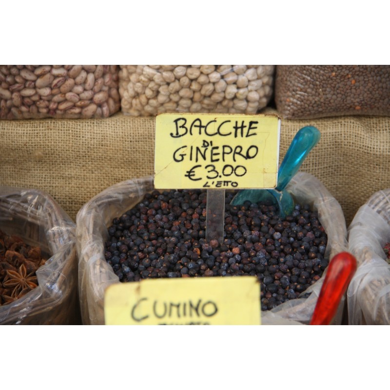 Semillas de BAYA DE ENEBRO (Juniperus communis) | 1,95 €