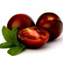 Price: €1.45 - Sementes de tomate Chockmande - Seeds Gallery