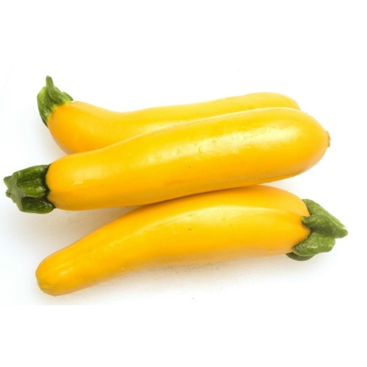 Yellow - Golden Zucchini Seeds SOLEIL - 1.665