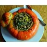 Red Turban Squash Seeds
