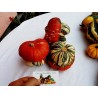 Price: €1.95 - Turban bundeva – tikva seme - 
