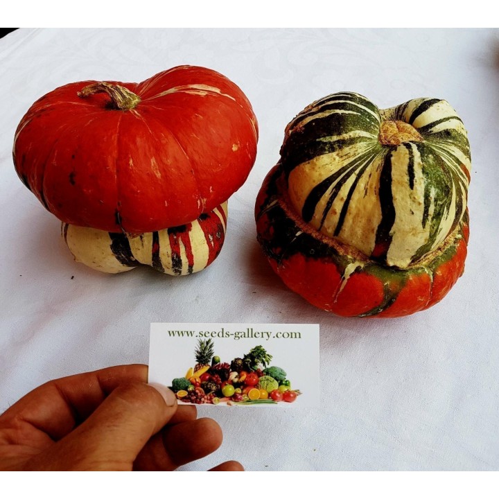 Red Turban Squash Seeds - 1.755