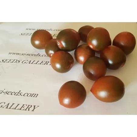 Chockmato Tomato Seeds