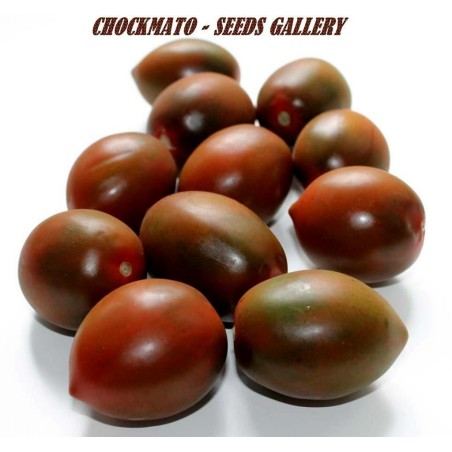 Tomatfröer Chockmato