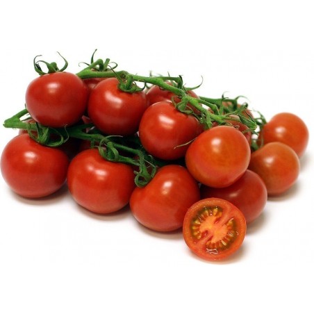 Price: €1.85 - Sementes de tomate Sweet Princess -