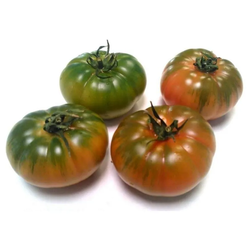 COSTOLUTO PACHINO Σικε. Ντομάτα Σπόροι Heirloom