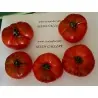 COSTOLUTO PACHINO Σικε. Ντομάτα Σπόροι Heirloom