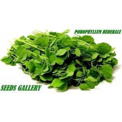 Price: €2.25 - Semi di Papalo - Coriandolo Boliviani (Porophyllum ruderale) - Unbranded