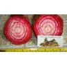 Semillas Remolacha Bicolor Chioggia