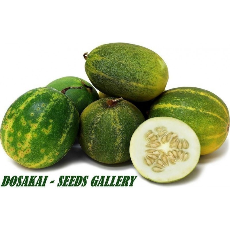 Price: €1.95 - Semillas de pepino India DOSAKAI - 