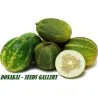 DOSAKAI indische Gurke Samen
