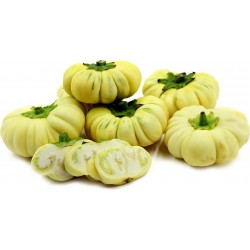 Price: €2.45 - Αφρικανική Μελιτζάνα σπόροι (Solanum aethiopicum) - 