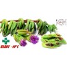 Price: €1.85 - Essbare Mittagsblume Samen (Carpobrotus edulis) - 