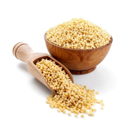 Semillas de Mijo Común (Panicum miliaceum)
