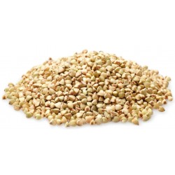 Price: €1.85 - Graines de Sarrasin (Fagopyrum esculentum) - 