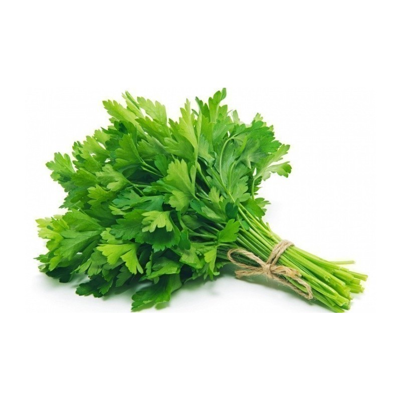 Price: €1.5 - Semillas de Perejil GIGANTE DE NÁPOLES (Petroselinum crispum) - 