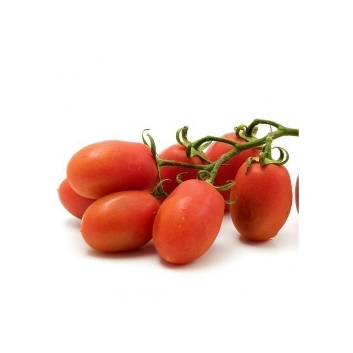 Tomato Seeds Rio Grande - 1.395