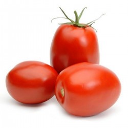 RIO GRANDE Tomaten Samen