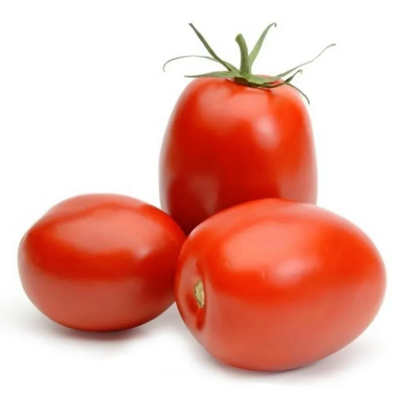 Sementes de tomate RIO GRANDE