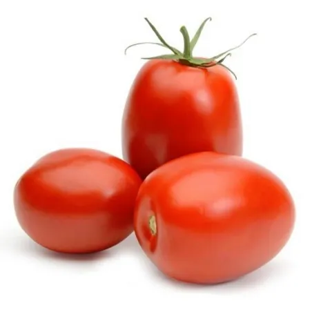Sementes de tomate RIO GRANDE