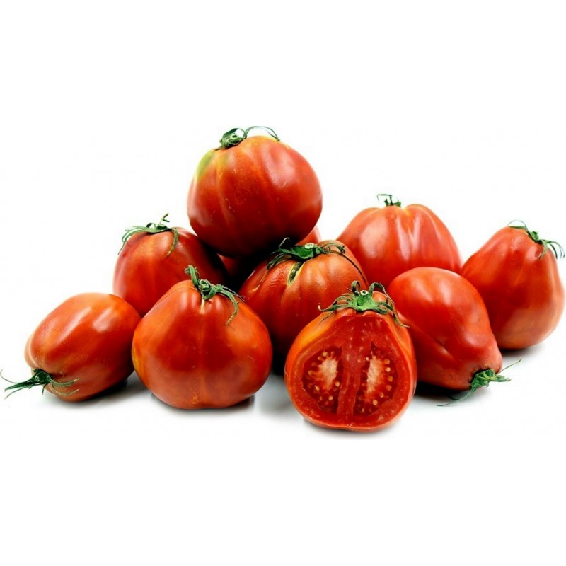 RED PEAR PIRIFORM Tomat Fröer