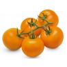 Price: €1.85 - AURIGA Γερμανικά ντομάτας Σπόροι (Solanum lycopersicum) - Seeds Gallery