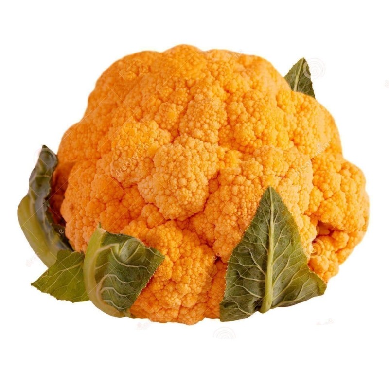Blomkål Orange Fröer