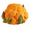 Price: €2.75 - Semi di Cavolfiore Color Arancio - 