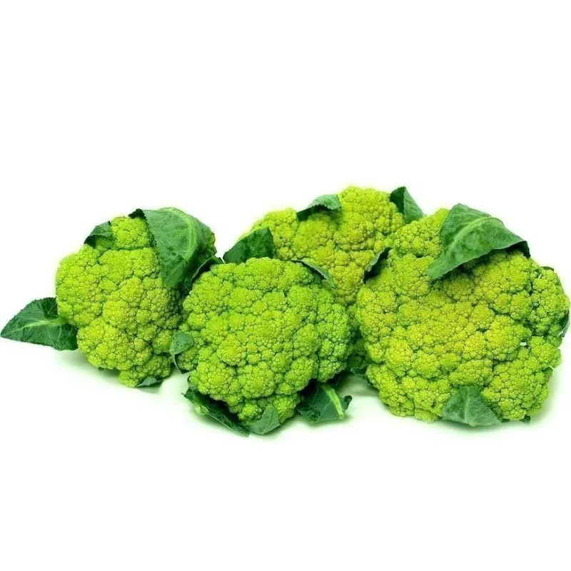 Grüne Blumenkohl Samen