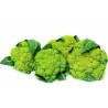 Price: €2.75 - Grüne Blumenkohl Samen - 