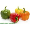 Price: €1.85 - Semillas de Pimiento California Wonder - 
