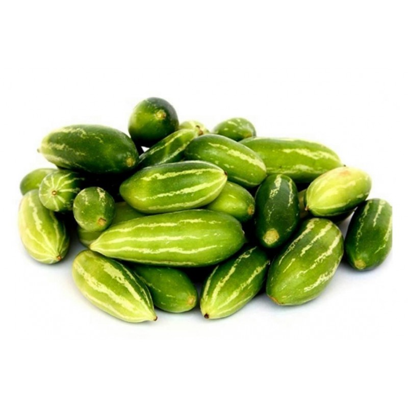 Price: €2.25 - Skarletna Tikva Seme (Coccinia grandis) - Seeds Gallery