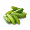 Price: €2.25 - Graines de COURGE ECARLATE (Coccinia grandis) - Seeds Gallery