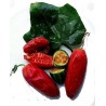 Price: €2.25 - Semi di Zucca Edera (Coccinia indica) - Seeds Gallery