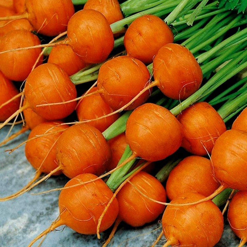 Price: €1.95 - Karottensamen Pariser Markt - 