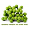 Price: €1.65 - Semillas Hierba Sosa o Pendejera (Solanum torvum) - Seeds Gallery