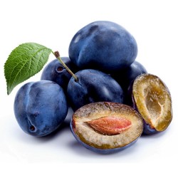 Price: €1.95 - Serbische Pflaume Samen (Prunus domestica) - Seeds Gallery
