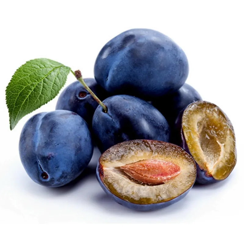 Serbian Plum Seeds (Prunus domestica)