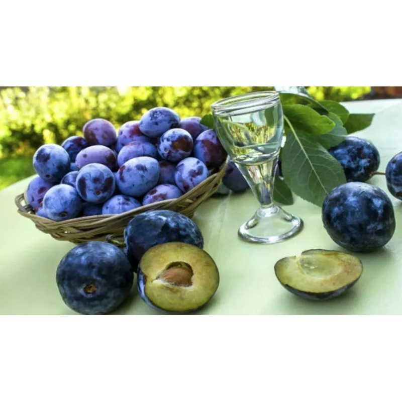 Serbian Plum Seeds (Prunus domestica)