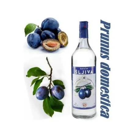Serbian Plum Seeds (Prunus domestica)