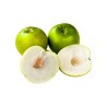 Semillas de Jujube Indio (Ziziphus mauritiana)