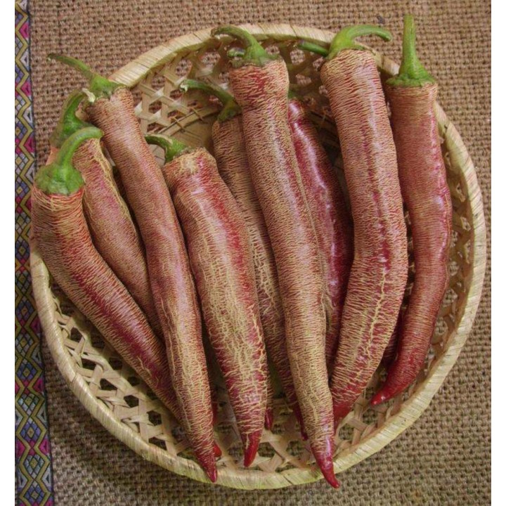 "Vezanka" Chili 500 Seeds Old Serbian variety - 67.5